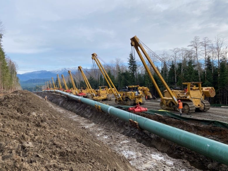 Heavy equipment and a construction worker are visible along pipes that are being lowered into the ground, with a snow capped mountain in the distance 